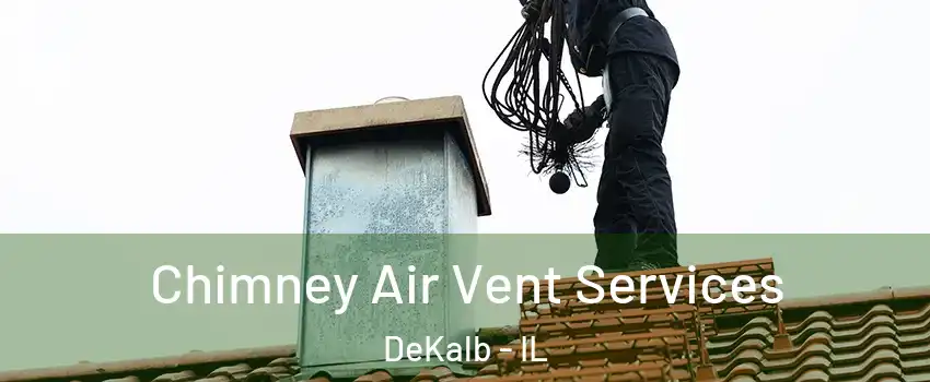  Chimney Air Vent Services DeKalb - IL