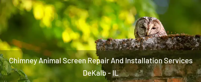  Chimney Animal Screen Repair And Installation Services DeKalb - IL