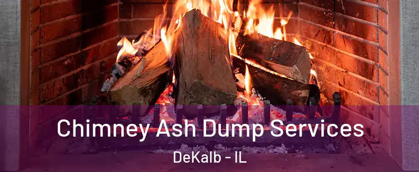  Chimney Ash Dump Services DeKalb - IL
