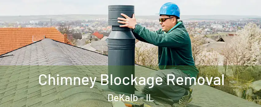  Chimney Blockage Removal DeKalb - IL
