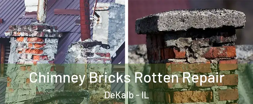  Chimney Bricks Rotten Repair DeKalb - IL