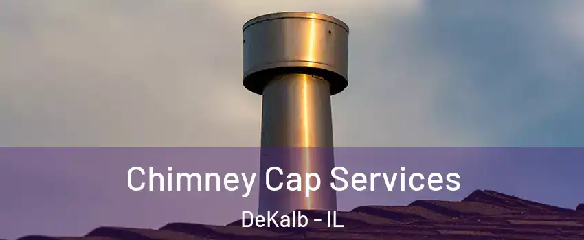  Chimney Cap Services DeKalb - IL