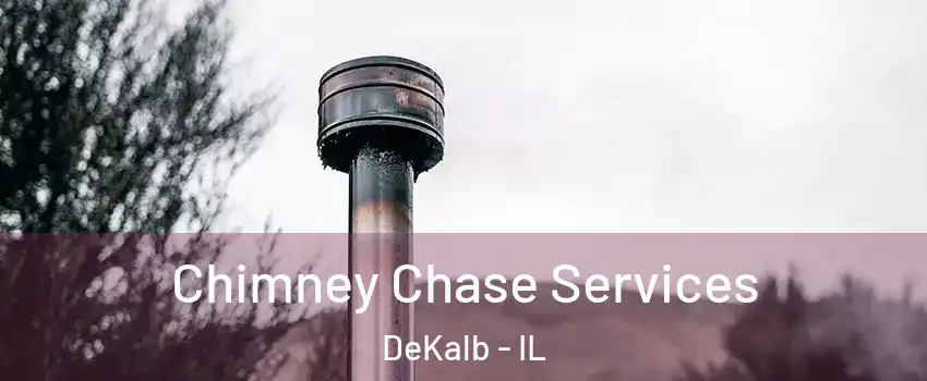  Chimney Chase Services DeKalb - IL