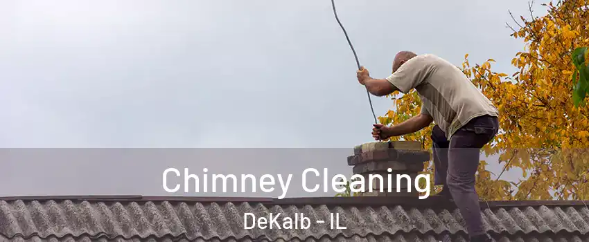  Chimney Cleaning DeKalb - IL