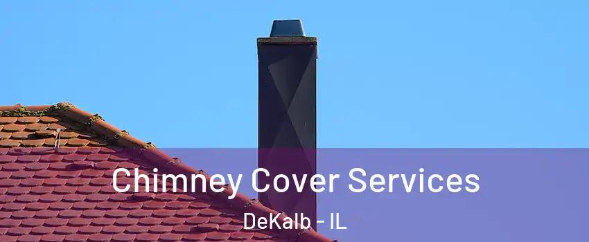  Chimney Cover Services DeKalb - IL