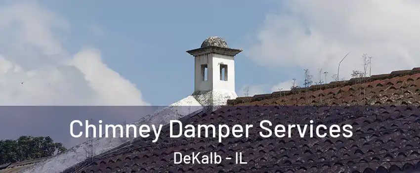  Chimney Damper Services DeKalb - IL