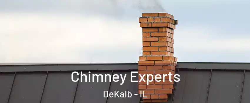 Chimney Experts DeKalb - IL