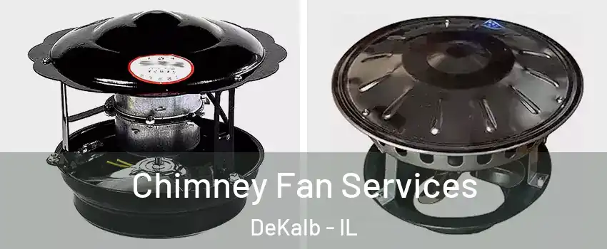  Chimney Fan Services DeKalb - IL