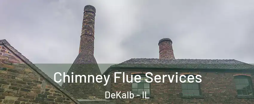  Chimney Flue Services DeKalb - IL