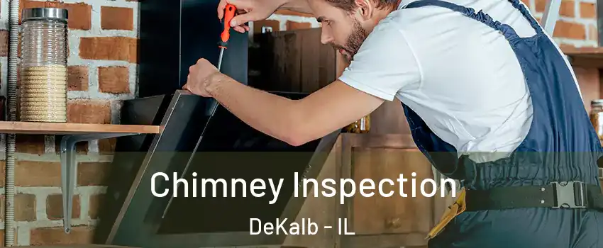  Chimney Inspection DeKalb - IL