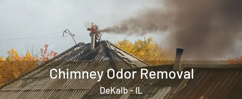  Chimney Odor Removal DeKalb - IL