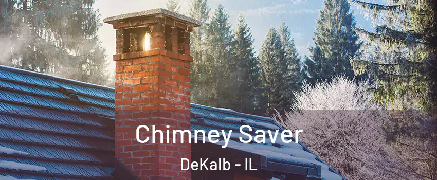  Chimney Saver DeKalb - IL