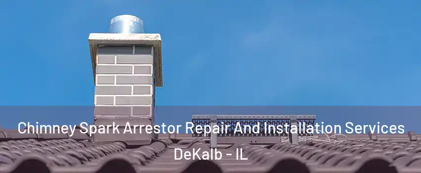  Chimney Spark Arrestor Repair And Installation Services DeKalb - IL