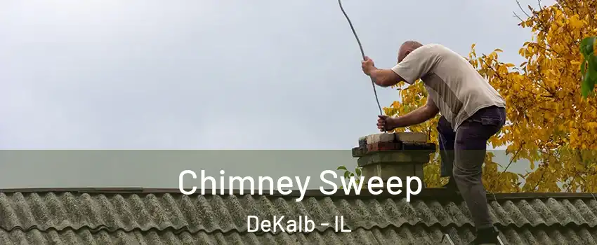 Chimney Sweep DeKalb - IL