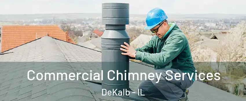  Commercial Chimney Services DeKalb - IL