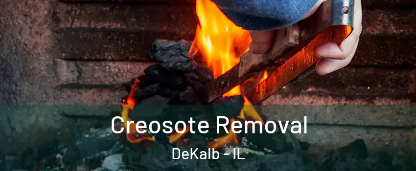  Creosote Removal DeKalb - IL