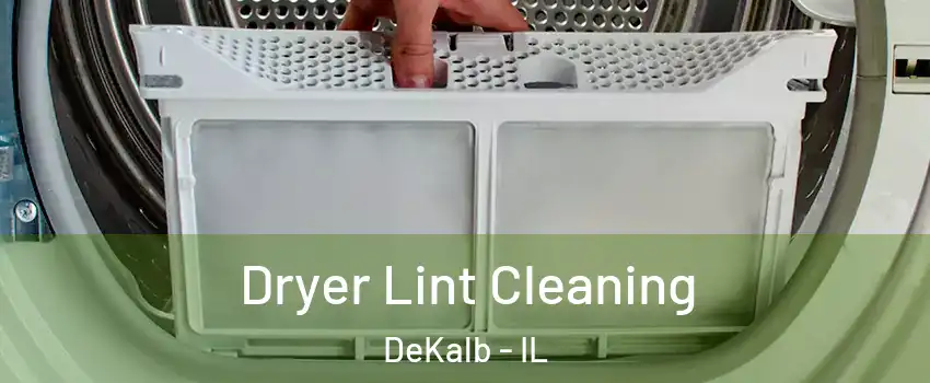  Dryer Lint Cleaning DeKalb - IL