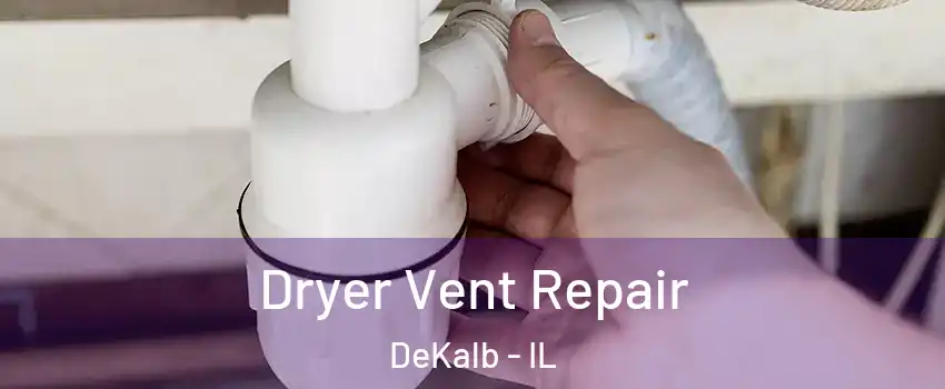  Dryer Vent Repair DeKalb - IL