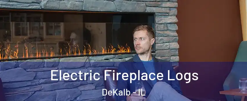  Electric Fireplace Logs DeKalb - IL