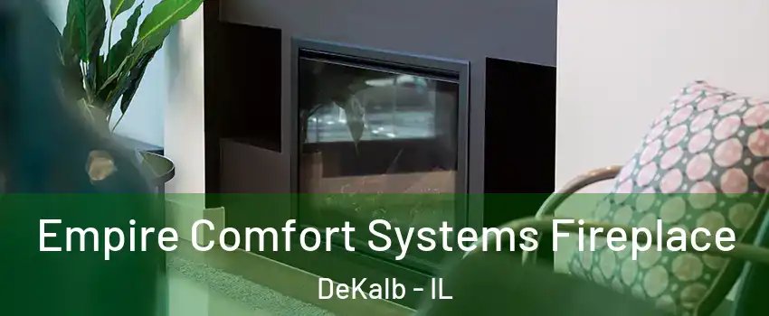  Empire Comfort Systems Fireplace DeKalb - IL