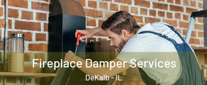  Fireplace Damper Services DeKalb - IL