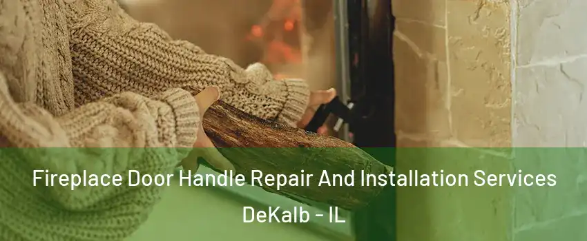  Fireplace Door Handle Repair And Installation Services DeKalb - IL