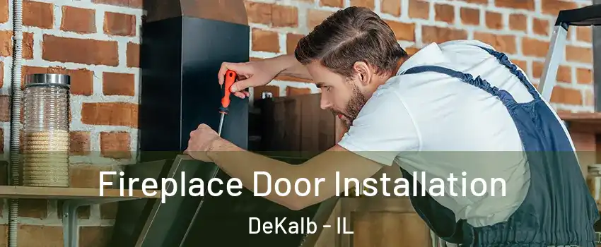  Fireplace Door Installation DeKalb - IL
