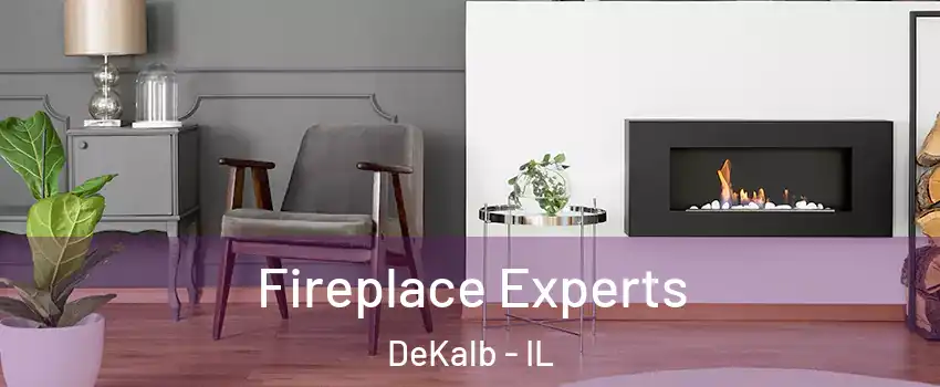  Fireplace Experts DeKalb - IL