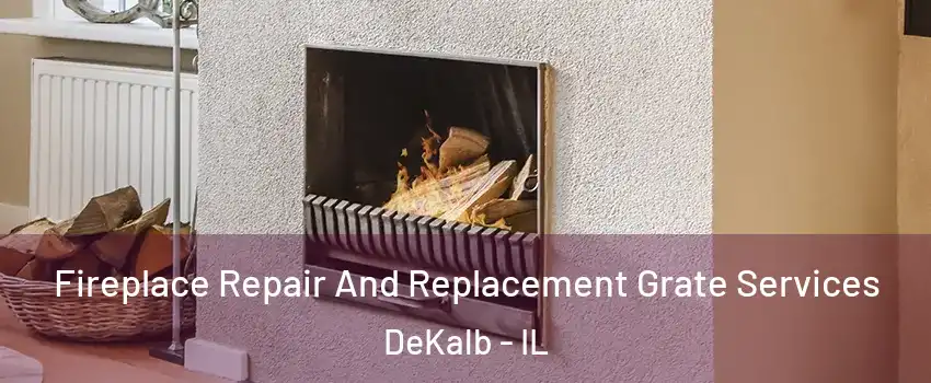  Fireplace Repair And Replacement Grate Services DeKalb - IL