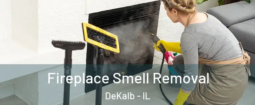  Fireplace Smell Removal DeKalb - IL