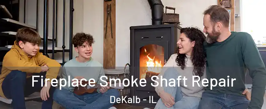  Fireplace Smoke Shaft Repair DeKalb - IL
