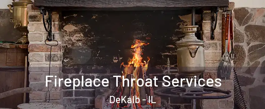  Fireplace Throat Services DeKalb - IL