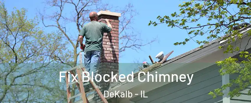  Fix Blocked Chimney DeKalb - IL