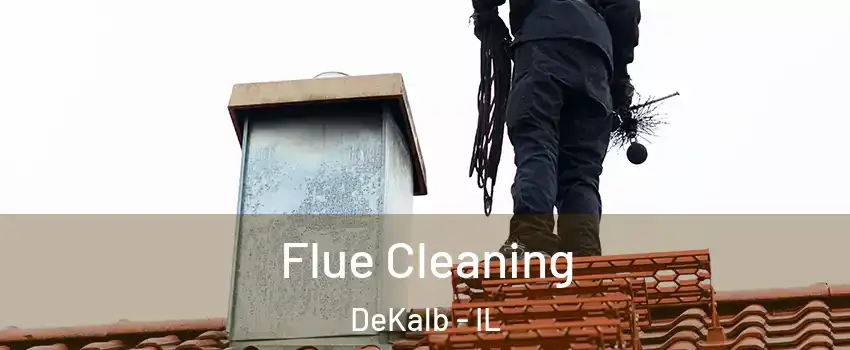  Flue Cleaning DeKalb - IL