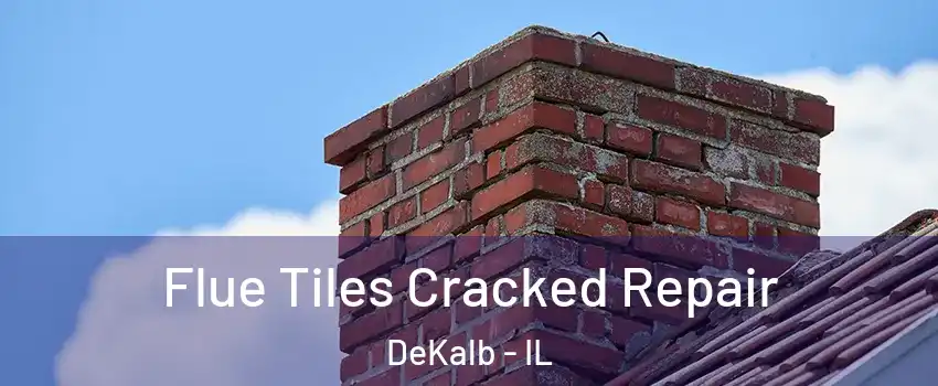  Flue Tiles Cracked Repair DeKalb - IL