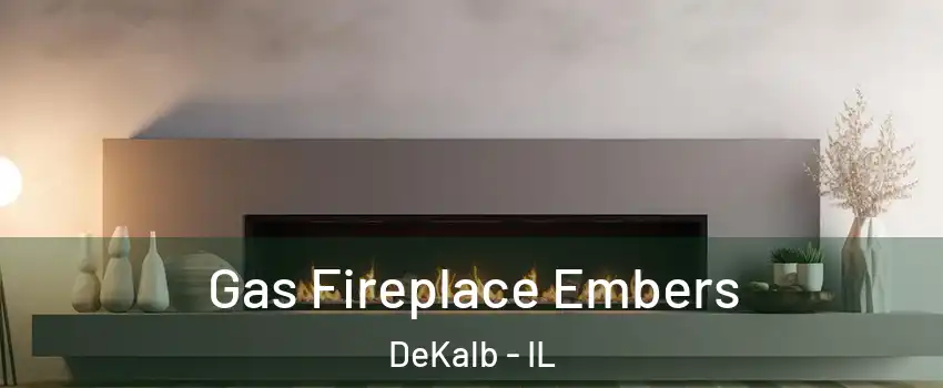  Gas Fireplace Embers DeKalb - IL