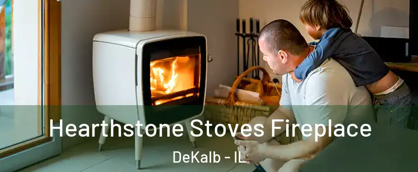  Hearthstone Stoves Fireplace DeKalb - IL
