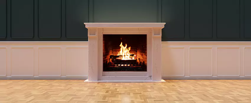 Napoleon Electric Fireplaces Inspection Service in DeKalb, Illinois
