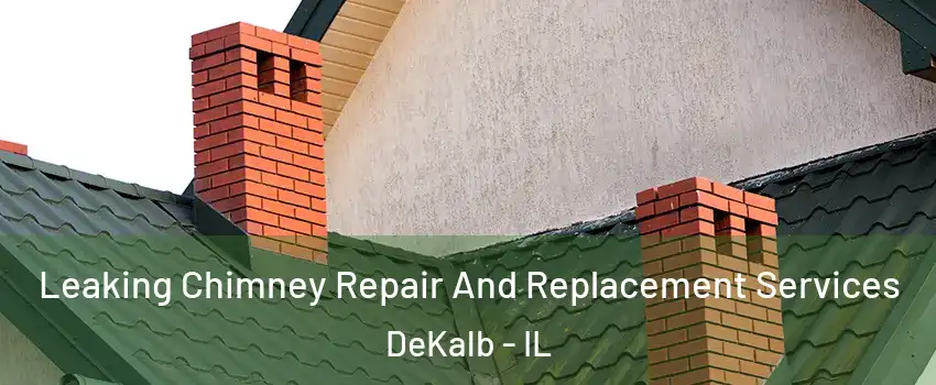  Leaking Chimney Repair And Replacement Services DeKalb - IL