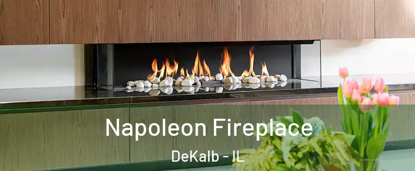  Napoleon Fireplace DeKalb - IL