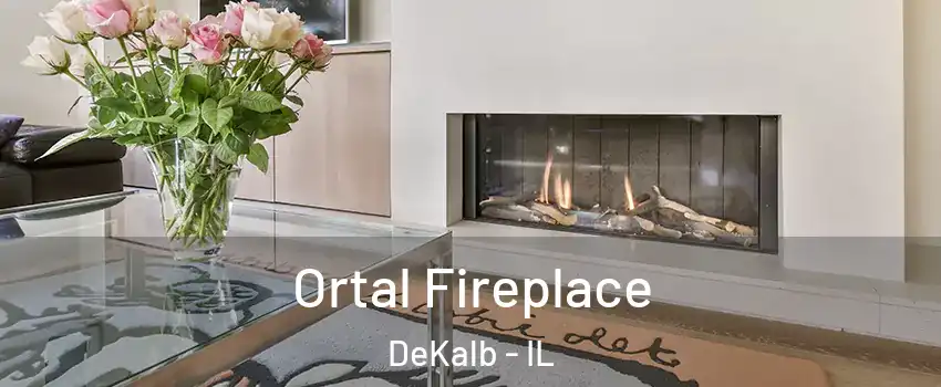 Ortal Fireplace DeKalb - IL