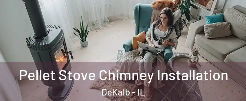  Pellet Stove Chimney Installation DeKalb - IL